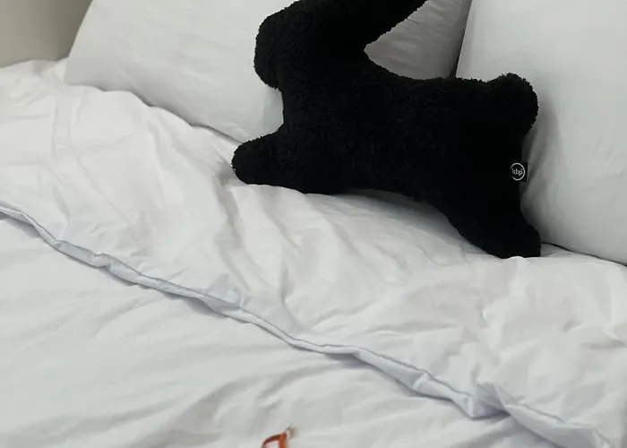 B *